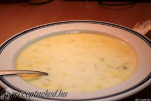 Francia hagyma leves kép