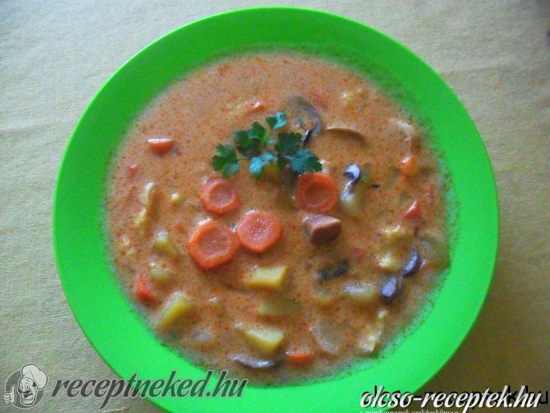 Tárkonyos-gombás sertésragú leves