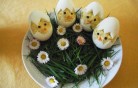 csibék tojásban kép
