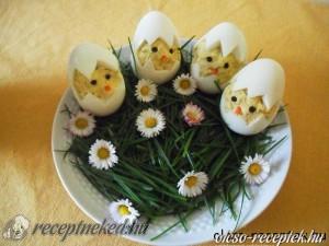 csibék tojásban kép
