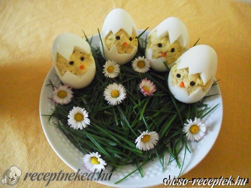 csibék tojásban kép