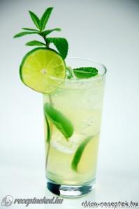 Mojito kép