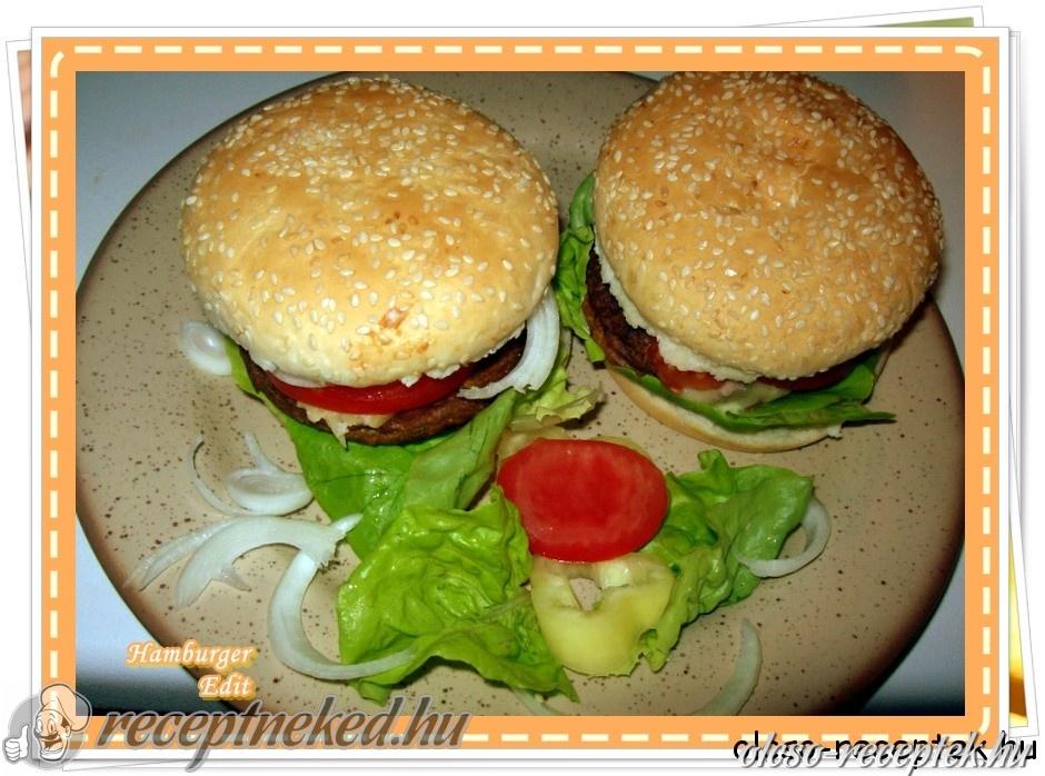 Hamburger kép