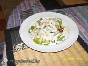 Gyros tál friss salátával kép