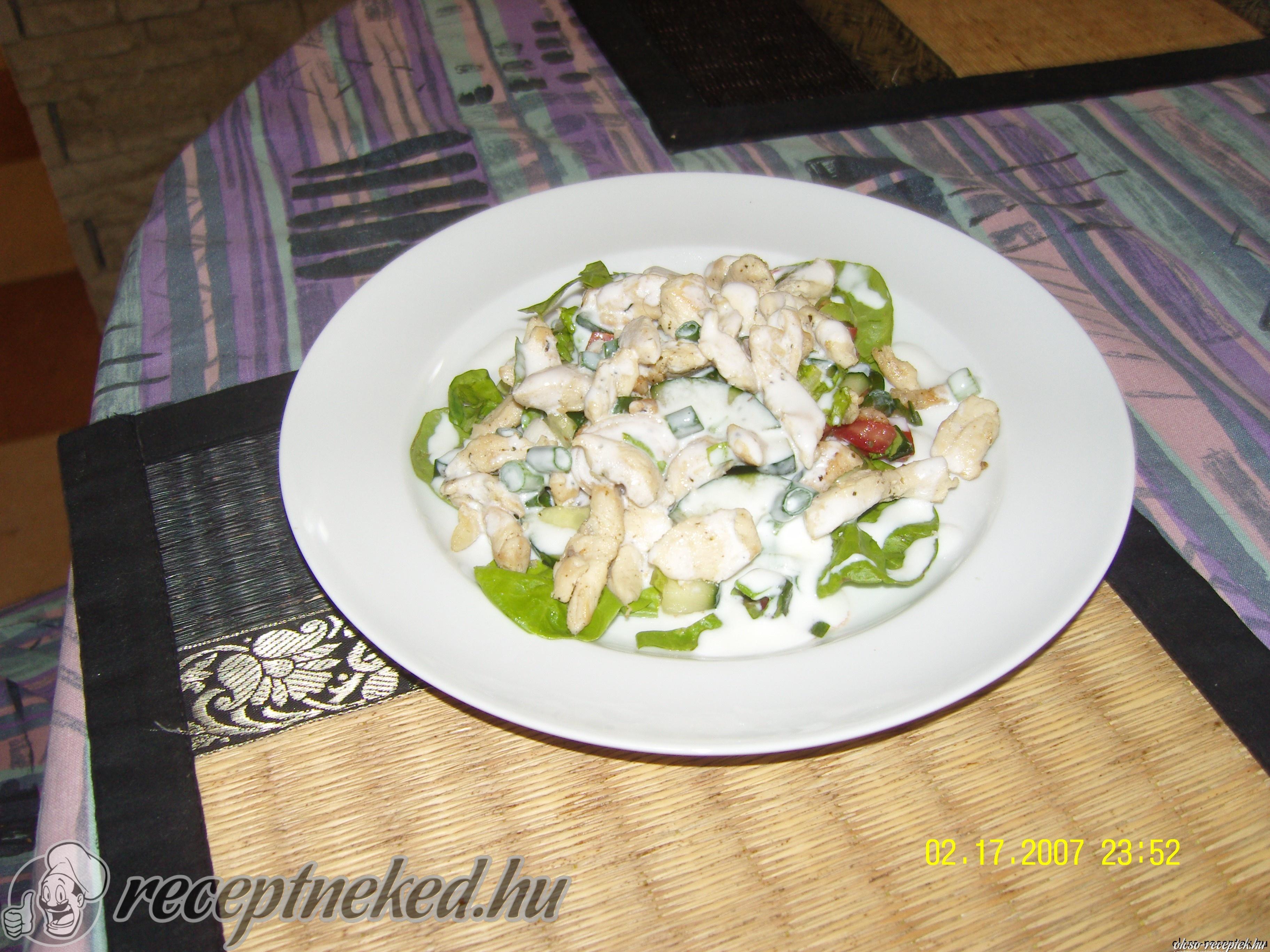 Gyros tál friss salátával kép