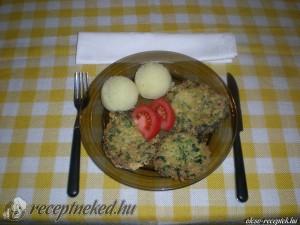 Medvehagymás korong kép