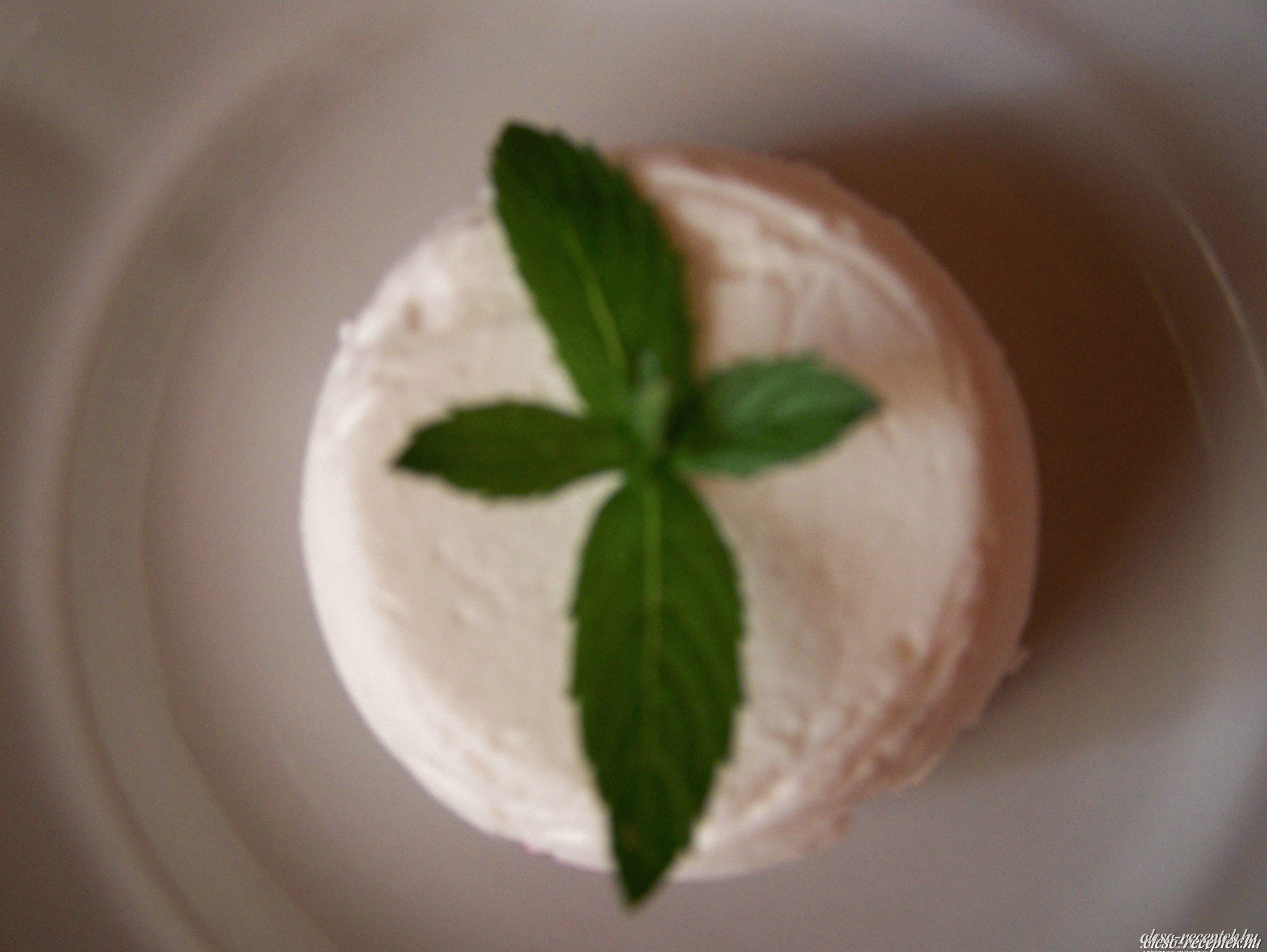 Túrós panna cotta szederrel