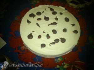 Dalmata torta