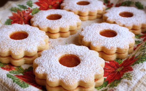 Óriás linzervirágok