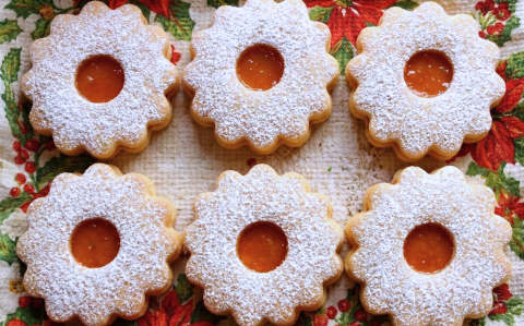 Óriás linzervirágok