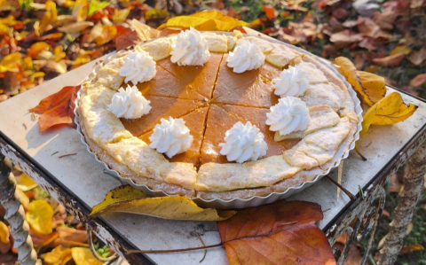 Sütőtökkrém pite