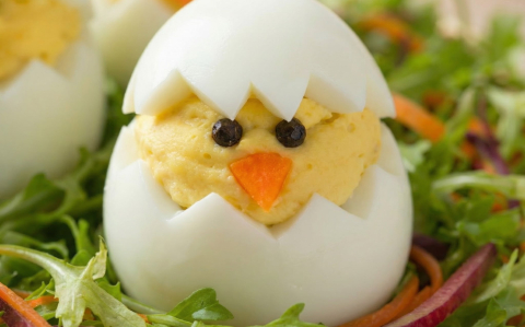 Kaszinótojás csibe formában